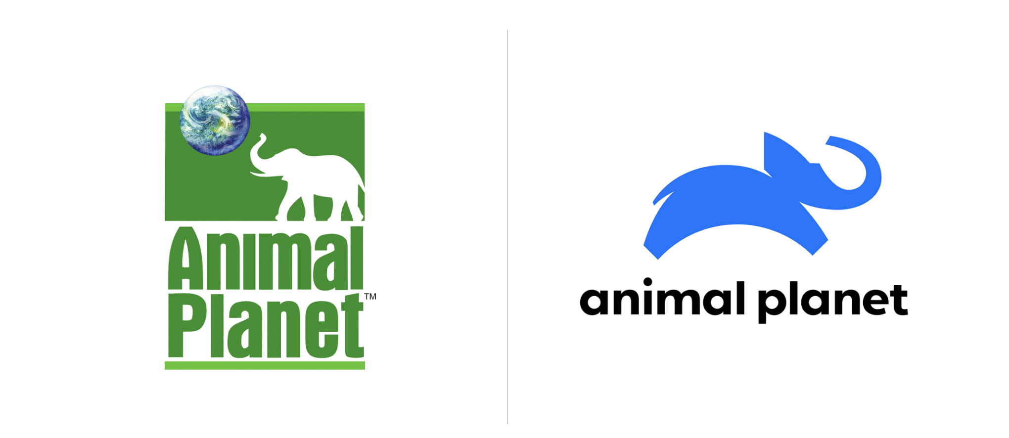 111.png 111.png