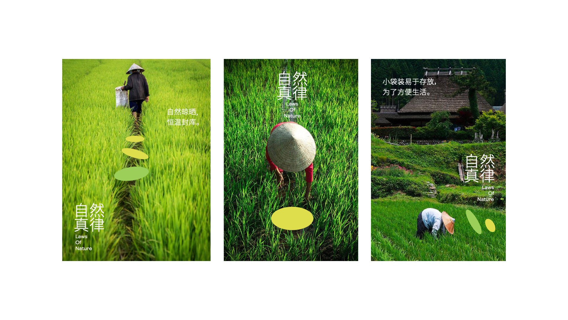 1一方耘vi設(shè)計(jì)_雜糧海報(bào)設(shè)計(jì).jpg