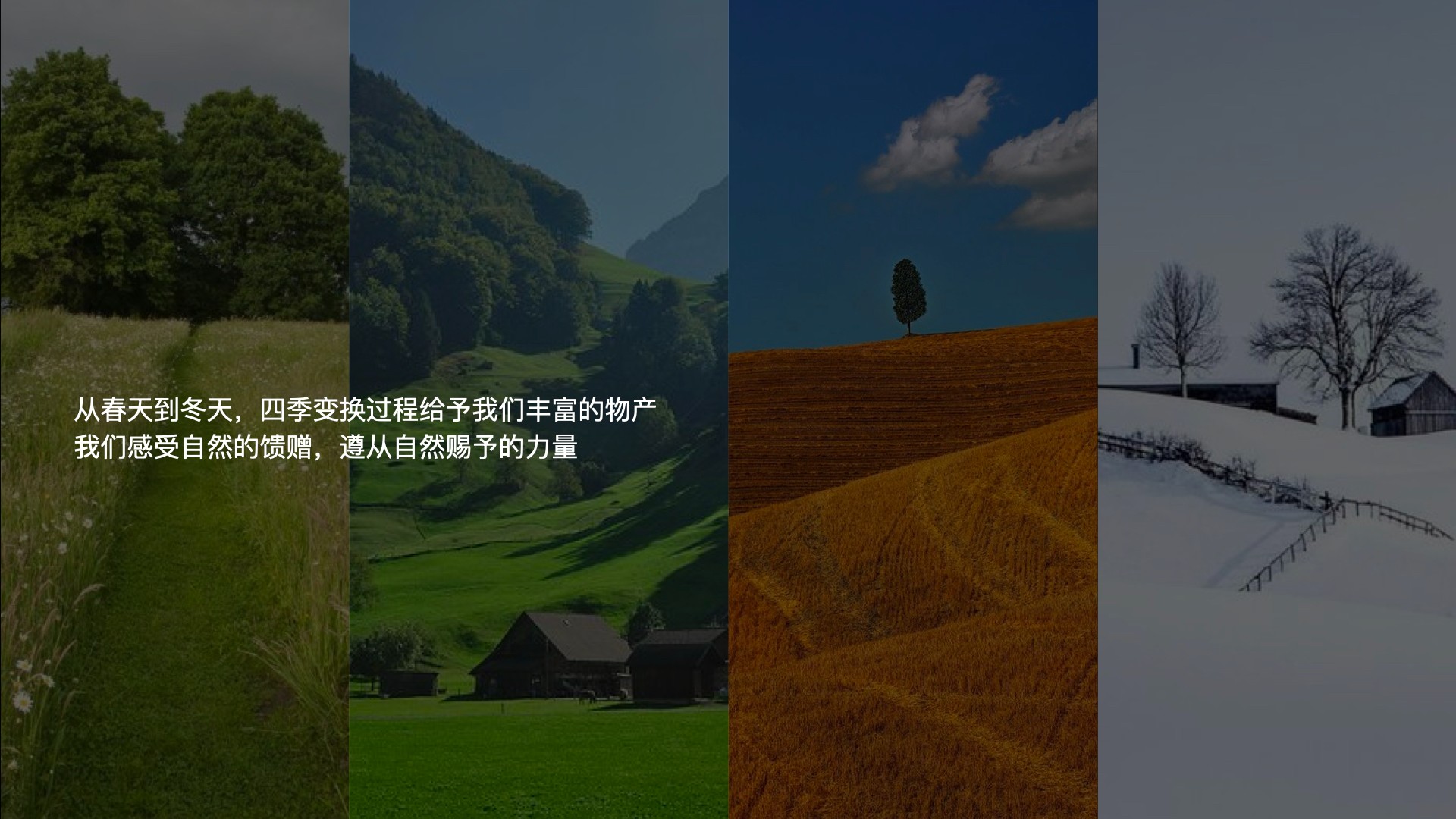4雜糧項(xiàng)目_視覺(jué)概念_12:26.001.jpg