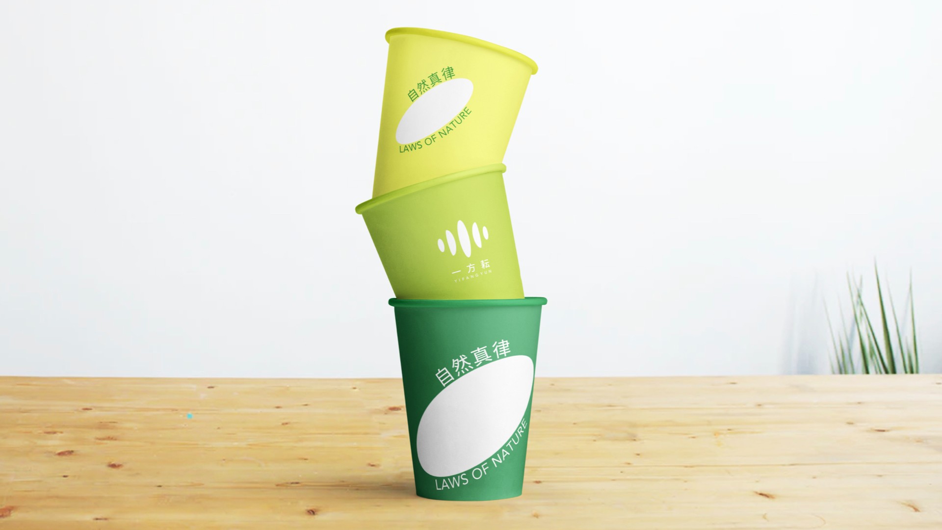 11一方耘品牌設(shè)計(jì)_有機(jī)雜糧vi設(shè)計(jì).jpg