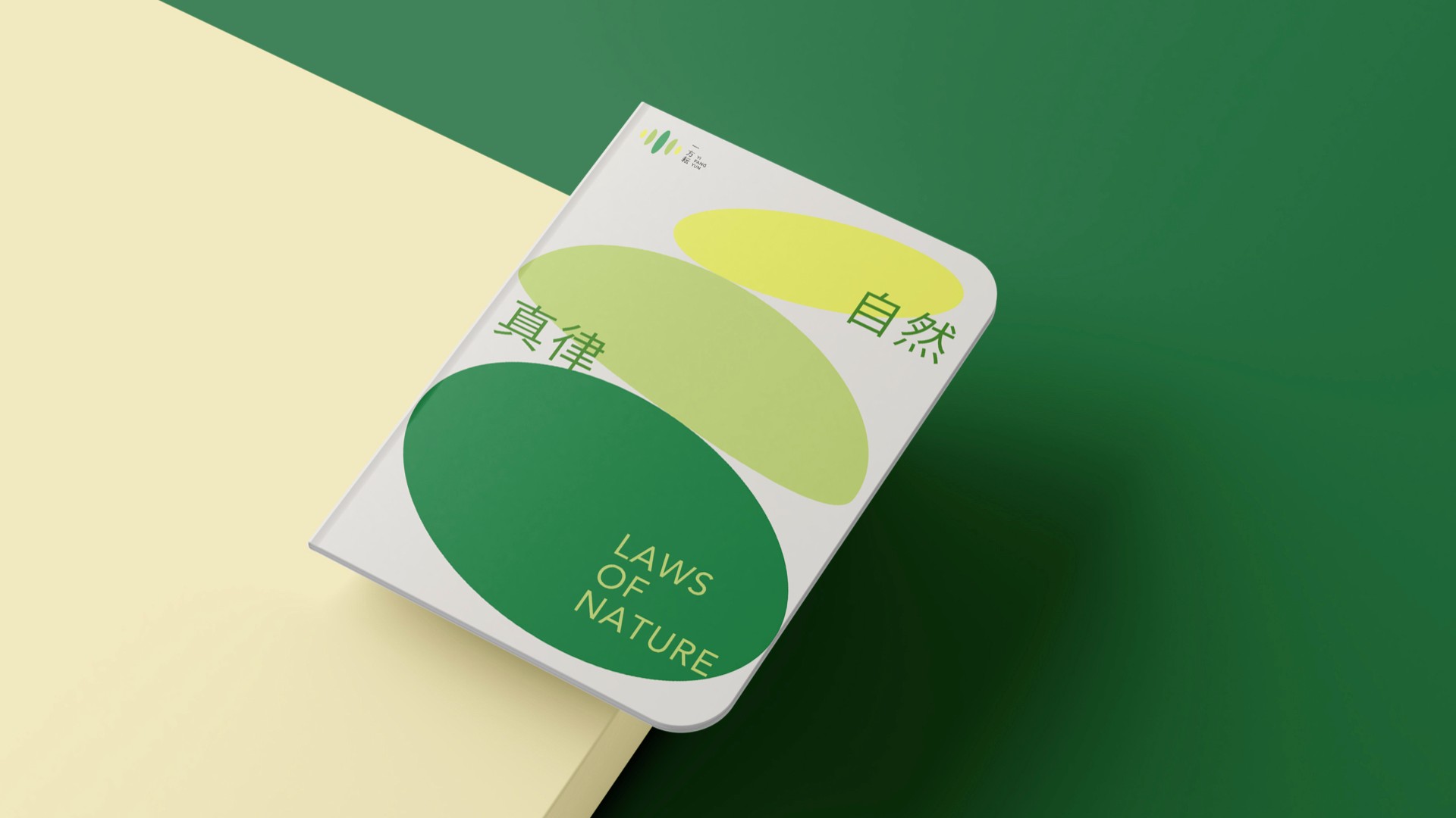 19雜糧米vi設(shè)計(jì)_一方耘vi設(shè)計(jì).jpg